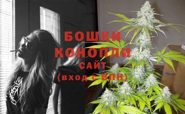 мет Гусев