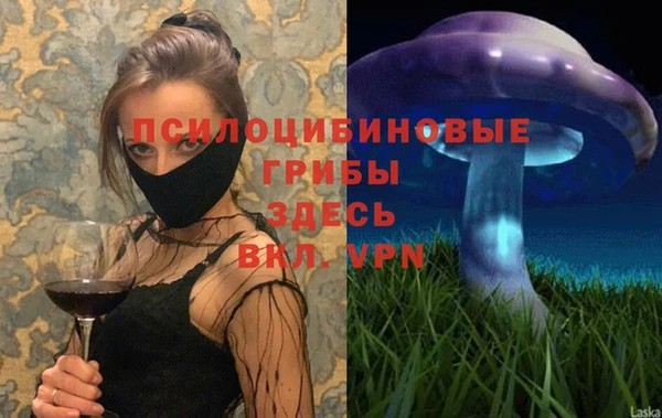 таблы Гусиноозёрск