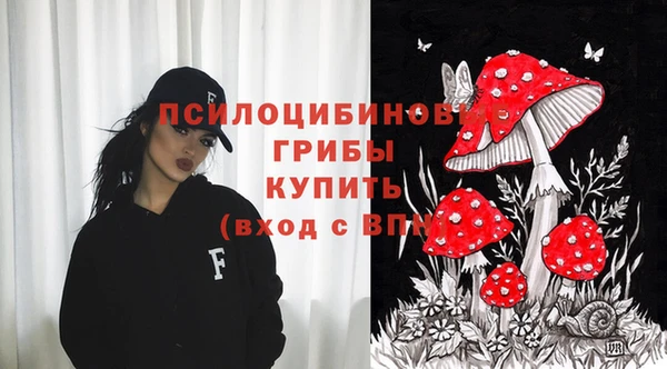 мет Гусев